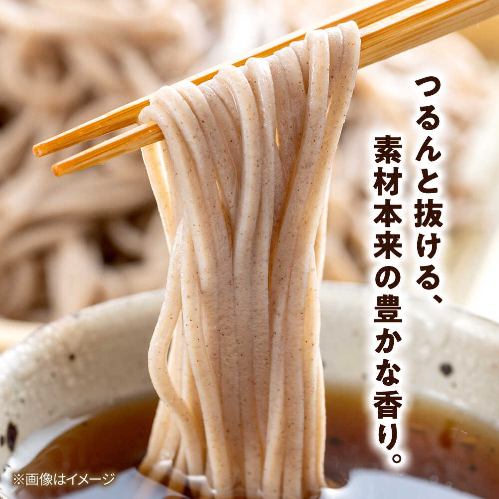 【ふるさと納税】北海道十勝 おいしいそば 五割そば 250g×3袋 めんつゆ付き | 瀬戸内商事[BNBF012]