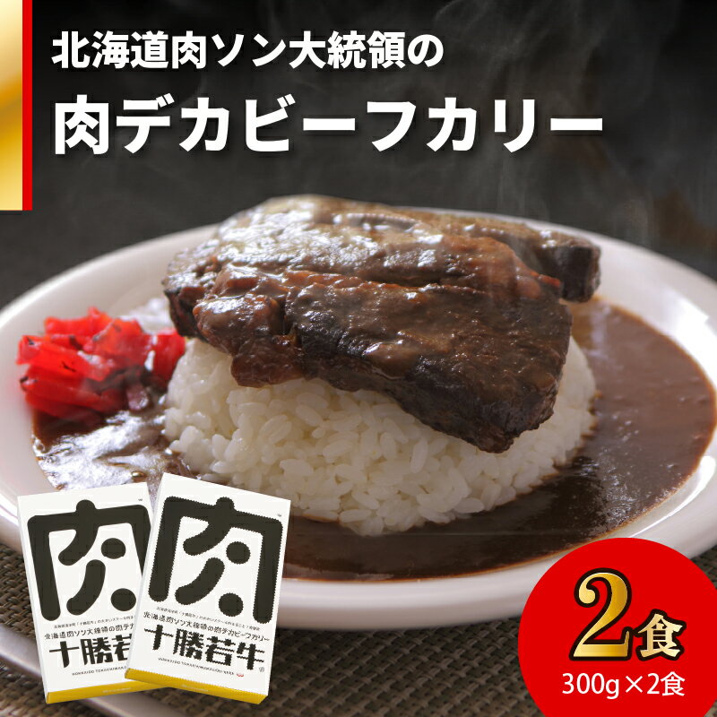 北海道肉ソン大統領の肉デカビーフカリー 十勝若牛 カレー レトルト 簡単調理 甘口 牛肉 ステーキ肉まるごと1枚使用 辛味オイル付き 贈り物 お取り寄せ ギフト お中元 お歳暮 のし 熨斗 北海道 清水町 送料無料