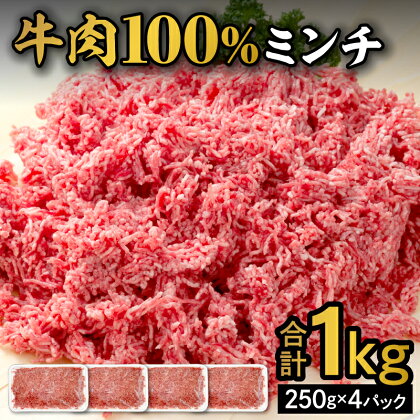 赤身牛ひき肉 1kg 牛ミンチ 250g × 4 北海道産 牛 100% 肉 牛肉 ひき肉 ハンバーグ ミートソース タコス カレー 料理 小分け 便利 人気 お取り寄せ 北海道 清水町 送料無料