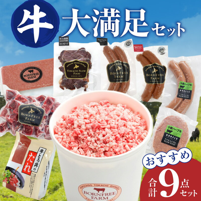 【ふるさと納税】十勝スロウフード 牛肉大満足セット！ 牛とろフレーク と おススメ 逸品 詰合せ 牛肉...