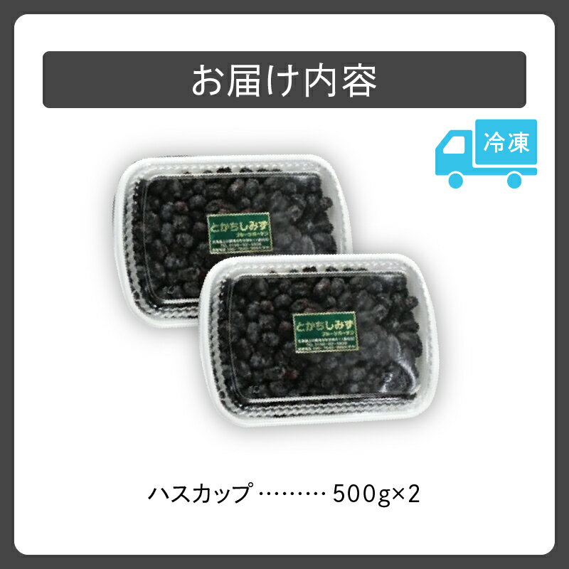 【ふるさと納税】【令和6年産 先行受付】とかちしみずフルーツガーデン の ハスカップ 1kg 500g×2 果物 フルーツ ジャム 甘酸っぱい 冷凍 フルーツソース フルーツジュース ビタミン豊富 ポリフェノール アントシアニン スムージー お取り寄せ 北海道 清水町 送料無料