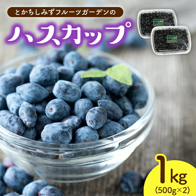 [令和6年産 先行受付]とかちしみずフルーツガーデン の ハスカップ 1kg 500g×2 果物 フルーツ ジャム 甘酸っぱい 冷凍 フルーツソース フルーツジュース ビタミン豊富 ポリフェノール アントシアニン スムージー お取り寄せ 北海道 清水町 送料無料