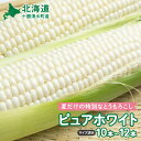 【ふるさと納税】【2025年8月~発送開始!】数量限定!北海道十勝清水町産 白いとうもろこし ピュアホワイト サイズ混合 10~12本 北海道産 2025年 ホワイト とうもろこし とうきび 産直 産地直送 希少品種 幻のとうもろこし 白いコーン 北海道特産 北海道 清水町 送料無料