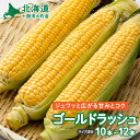 【ふるさと納税】【2025年8月~発送開始!】北海道十勝清水町産 黄金の甘さ ゴールドラッシュ!サイズ混合 10~12本 極甘とうもろこし 北海道十勝 清水町産 2025年 フルーツのような甘さ 産直 産地直送 ジューシー プリッとはじける食感 濃厚な甘さ 北海道 清水町 送料無料