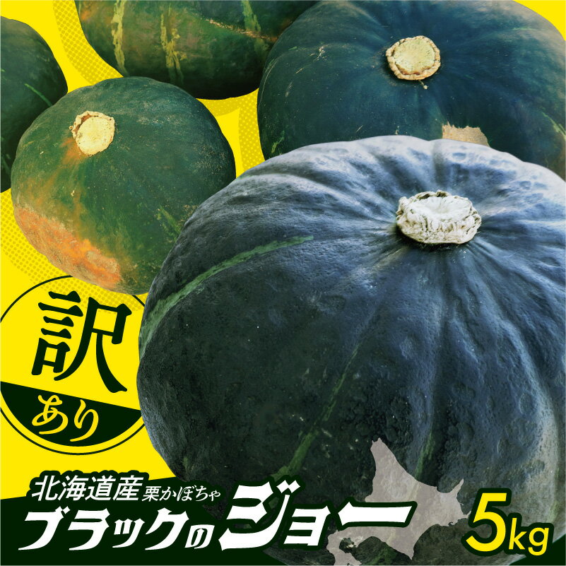 【ふるさと納税】先行受付！ 12月頃～発送開始！ 北海道十勝清水町産 生産者応援！【訳あり】ホクホク..