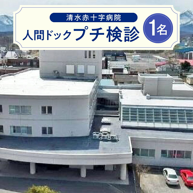 【ふるさと納税】清水赤十字病院 プチ検診 1名様 人間ドック 手軽 敬老の日 父の日 母の日 誕生日 検査 北海道 清水町