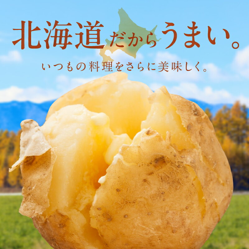 【ふるさと納税】先行予約【 選べる内容量！ 】 ホクホク！しっとりなめらか！ 北海道産 キタアカリ 約 5kg 約 10kg じゃがいも いも 芋 産地直送 ポテトグラタン じゃがバター フライドポテトポテトチーズ焼き マッシュポテト ガレット 芋もち 北海道 清水町 送料無料