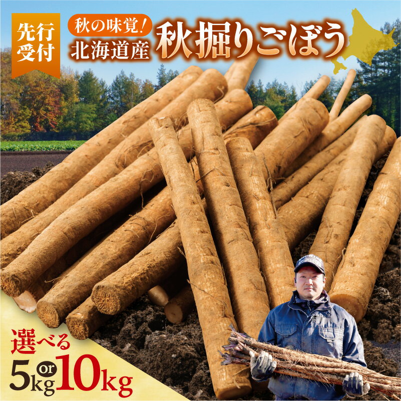 【ふるさと納税】【選べる内容量】【先行予約】2026年秋 北海道十勝清水町産 秋堀りごぼう 5kg 10kg 土..