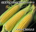 【ふるさと納税】愛菜屋のめむろ産とうもろこし(イエロー20本) 【ふるさと納税】愛菜屋のめむろ産とうもろこし(イエロー20本)