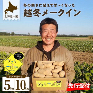 【ふるさと納税】【先行予約】【2026年2月より順次発送】 じゃがいも なまら十勝野の 越冬 メークイン 選べる内容量 5kg / 10kg 低温熟成 芋 ジャガイモ ポテト イモ いも 産地直送 新鮮 野菜 食材 おかず カレー シチュー グラタン じゃがバター 北海道 十勝 芽室町