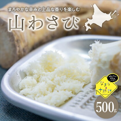 なまら十勝野の 山わさび 500g 山葵 西洋わさび ホースラディッシュ 北海道 十勝 芽室町