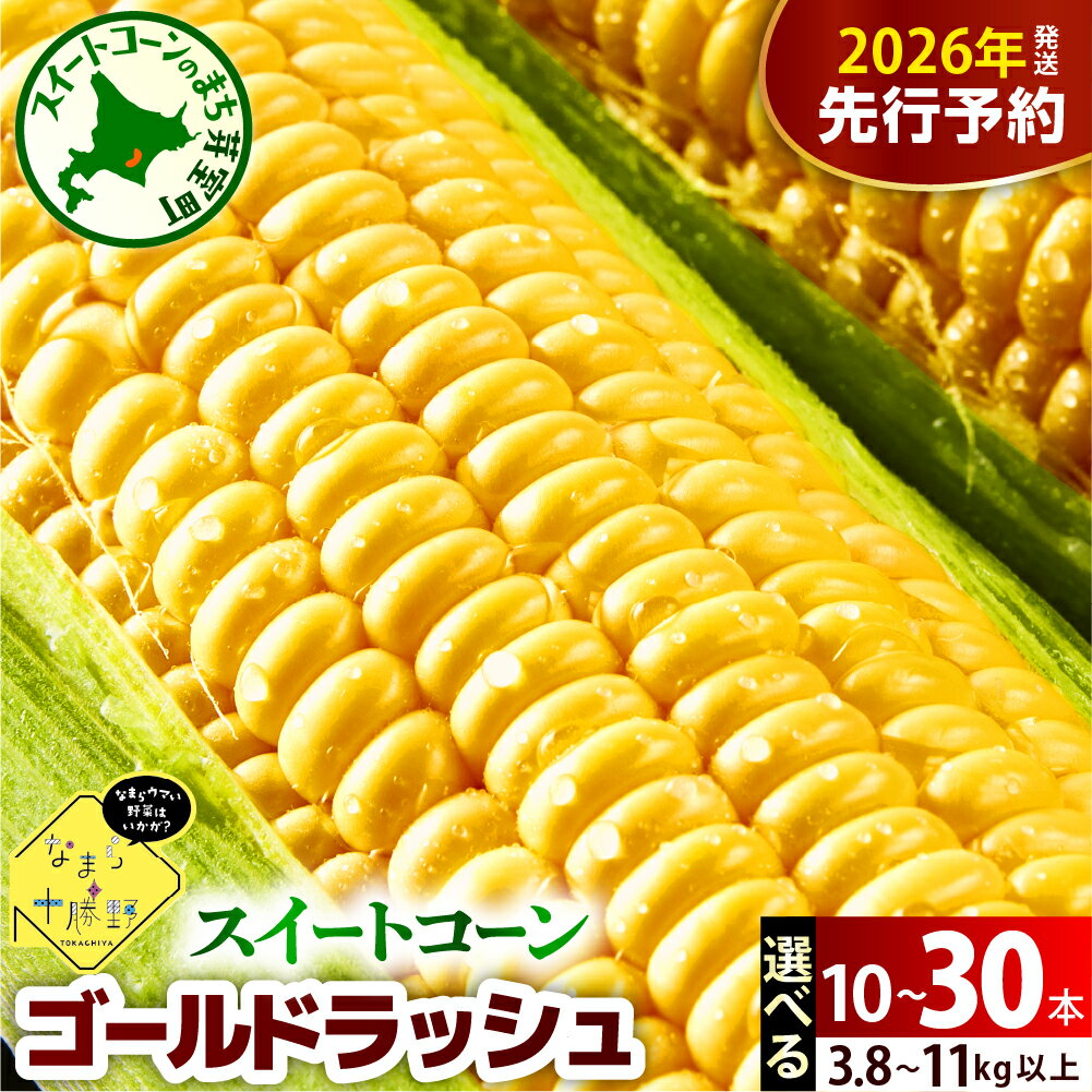 【ふるさと納税】【先行受付】 レビュー 高評価 ★ 楽天 ランキング 1位 獲得 2026年産 とうもろこし 北海道産 スイートコーン ゴールドラッシュ ( 選べる 10本 20本 30本 ) 【2026年7月下旬～8月15日頃配送】コーン 生 野菜 BBQ 送料無料 お取り寄せ 北海道 十勝 芽室町のサムネイル