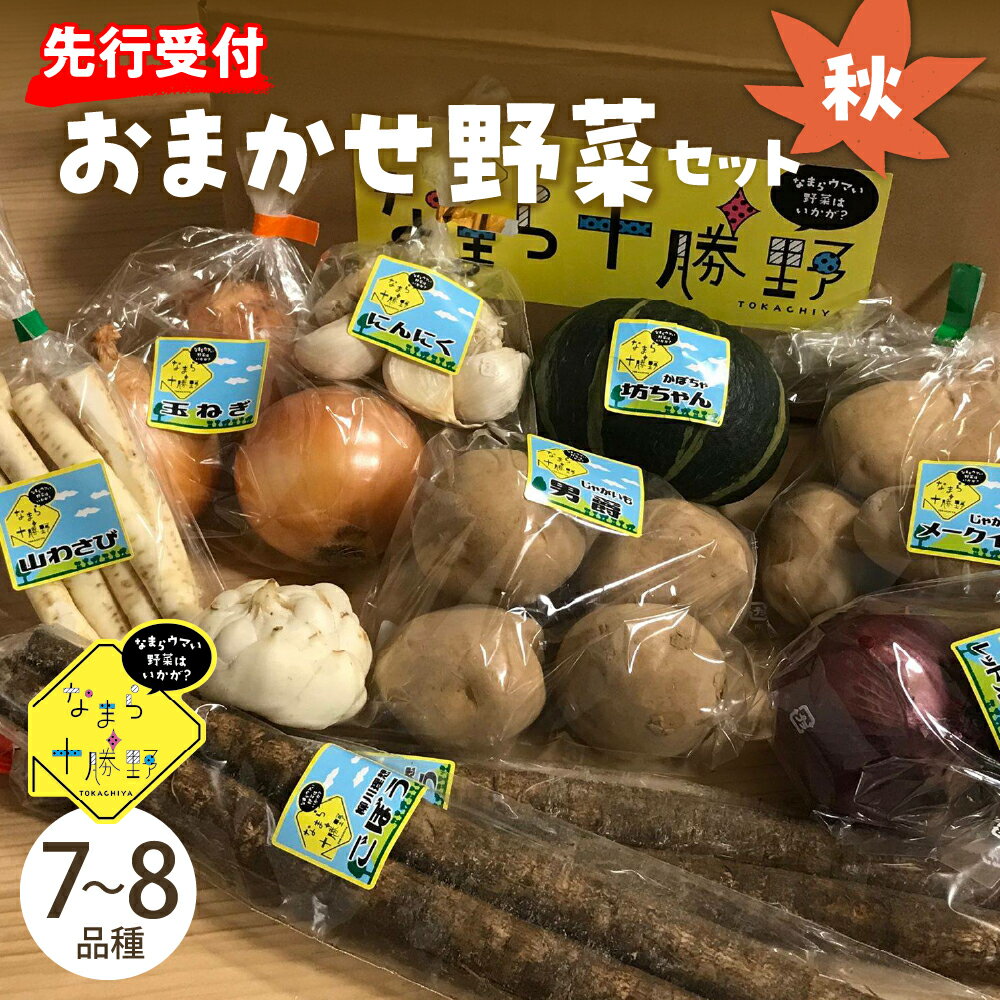 [先行受付][2025年10月より配送]産地直送 なまら十勝野の 季節のおまかせ 野菜 セット 秋詰合せ 旬 食品 グルメ 送料無料 常温発送 北海道 十勝 芽室町