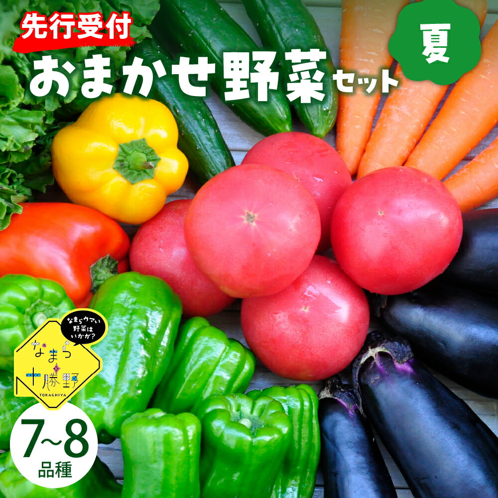 [先行予約][2025年8月より発送]産地直送 なまら十勝野の 季節のおまかせ 野菜 セット 夏詰合せ 旬 食品 グルメ 送料無料 冷蔵発送 北海道 十勝 芽室町