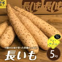 【ふるさと納税】【 先行予約 】【12月中旬以降発送】 なまら十勝野の 長いも 5kg ふわとろ焼きレシピ付 北海道 十勝 芽室町