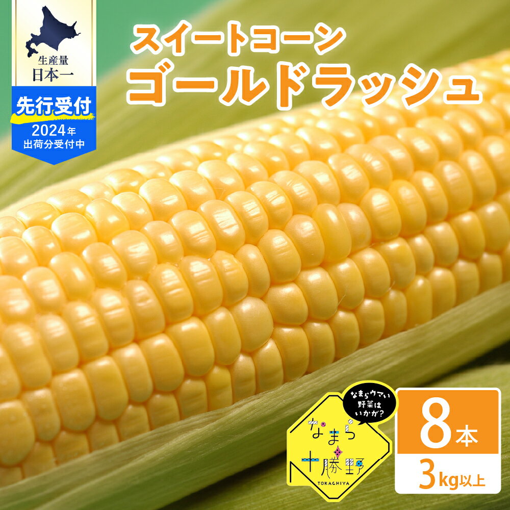 【ふるさと納税】【2024年分先行予約】北海道十勝芽室町 スイートコーン ゴールドラッシュ 8本キャンプ飯 BBQ ソロキャン人気 トウモロコシ 生 野菜 北海道 十勝 芽室町 送料無料 お取り寄せのサムネイル
