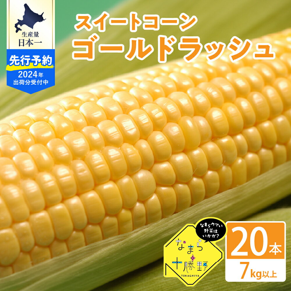 【ふるさと納税】【2024年分先行予約】北海道十勝芽室町 スイートコーン ゴールドラッシュ 20本キャンプ飯 BBQ ソロキャン人気 トウモロコシ 生 野菜 北海道 十勝 芽室町 送料無料 お取り寄せのサムネイル