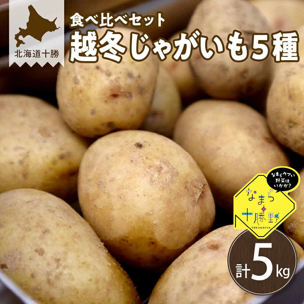 【ふるさと納税】【2月発送】越冬じゃがいも5種類 食べ比べセット 各1kg 芋 ジャガイモ ポテト イモ いも 産地直送 新鮮 野菜 食材 おかず カレー シチュー グラタン ポテトサラダ じゃがバター メークイン 男爵 北海こがね きたあかり はるか 常温配送 北海道 十勝 芽室町のサムネイル