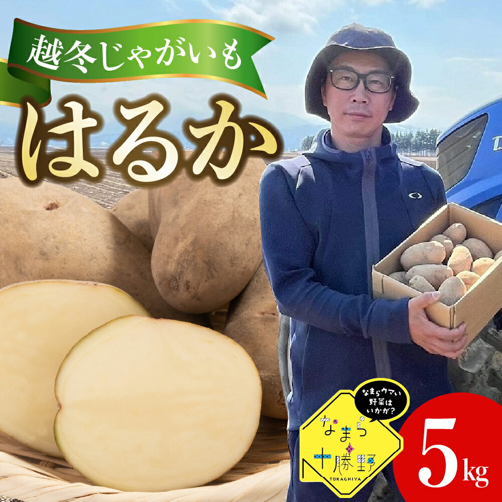 1994年に誕生した品種「はるか」。 なまら十勝野のメンバー、十勝めむろの百笑farmさんが美味しい芋を探し求め出会った品種です。 たくさんの方にこのじゃがいもの美味しさを知ってもらいたい！という想いで栽培に挑戦し、返礼品として登場しました。 はるかは、メークインに似てしっとりした食感、とても甘いのが特徴。 9月に収穫し2月まで越冬させることでじゃがいもは糖度を増します。 愛情とこだわりの芽室町じゃがいも「はるか」を農家さん直送でお届けいたします。 返礼品詳細 名称なまら十勝野 越冬じゃがいも はるか 5kg 北海道 十勝 芽室町 内容量越冬じゃがいも はるか 5kg 産地北海道十勝芽室町 アレルギー特定原材料8品目は使用していません 特定原材料に準ずる20品目は使用していません 配送方法常温 発送について2024年4/1〜6/30の期間に順次配送 ※収穫状況により、発送予定から前後する場合がございます。 注意事項※沖縄県・離島へは配送できません。 ※画像はイメージです。 ※不在票が入っていた場合は、速やかに再配達依頼を行ってください。保管期間が過ぎて返送されてしまった返礼品の再配達はできかねます。 ※必ずお受け取りいただくため、配達の時間指定をお願いいたします。 ※返礼品到着後はすぐに箱から出していただき状態を確認してください。 ※天候不良等で数量が確保できなかった場合は、代替品の発送となります。何卒ご了承ください。 ※常温で保存すると必ずすぐに芽が出ます。必ず冷蔵庫の野菜室で保存し(冷蔵庫の中でも芽が出ます)、お早めにお召し上がりください。 ※お召し上がりになる際は、芽が出ている部分は必ず芽を取って、お早めにお召し上がりください。 提供事業者株式会社 なまら十勝野 ・ふるさと納税よくある質問はこちら ・寄附申込みのキャンセル、返礼品の変更・返品はできません。あらかじめご了承ください。なまら十勝野 越冬じゃがいも はるか 5kg 北海道 十勝 芽室町