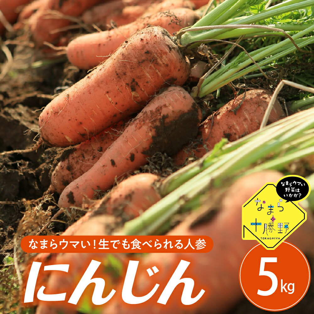 【先行受付】【10月上旬より発送】なまら十勝野 芽室町産 にんじん 5kg 産地直送 新鮮 野菜 北海道 十勝 芽室町