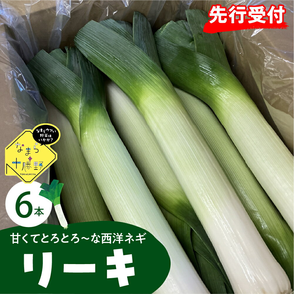 【ふるさと納税】【先行受付】【2025年11月より発送】なまら十勝野 の 鳥本農場 リーキ 6本野菜 やさい ネギ ねぎ 葱 西洋ネギ ポロネギ 送料無料 北海道 十勝 芽室町