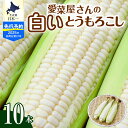 【ふるさと納税】【7月下旬~8月末ごろ発送】北海道産 とうもろこし スイートコーン 10本 ホワイト 種 人気 キャンプ飯 BBQ アウトドア とうきび コーン 甘い 野菜 白 めむろ 送料無料 お取り寄せ 贈り物 ギフト 贈答 期間限定 北海道 十勝 芽室町