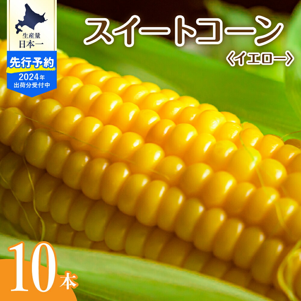 [2024年分先行予約] 北海道産 とうもろこし スイートコーン 10本 イエロー 種 人気 キャンプ飯 アウトドア BBQ トウモロコシ とうきび コーン 甘い 野菜 北海道 十勝 芽室町 めむろ 送料無料 お取り寄せ 贈り物 ギフト 贈答 期間限定