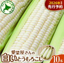 【ふるさと納税】【先行予約】 2026年産 とうもろこし 北海道産 スイートコーン 10本 ホワイト種 【7月下旬~8月中旬にかけて順次発送】 人気 キャンプ飯 BBQ とうきび コーン 甘い 野菜 白 送料無料 お取り寄せ 贈り物 ギフト 贈答 期間限定 北海道 十勝 芽室町