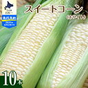 【ふるさと納税】【2025年産 先行予約】 北海道産 とうもろこし スイートコーン 10本 ホワイト 種 人気 キャンプ飯 BBQ アウトドア トウモロコシ と...