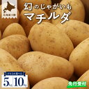 野菜・きのこ(ジャガイモ)人気ランク21位　口コミ数「3件」評価「5」「【ふるさと納税】【 先行受付 】幻の じゃがいも マチルダ 5kg 10kg キャンプ 飯 BBQ アウトドア ジャガイモ 越冬 美味しさに 訳あり ポテト 濃厚 芋 イモ いも 野菜 カレー シチュー ポテトサラダ フライドポテト グラタン 焼肉 北海道 十勝 芽室町」