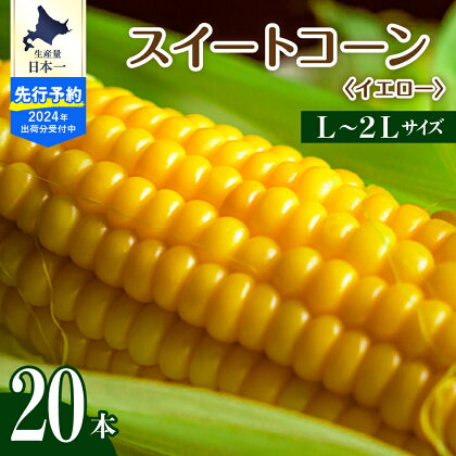 【2024年分先行予約】とうもろこし 生産量 日本一 楽天 ランキング 1位 獲得 北海道 芽室町産 スイートコーン イエロー種 L ～ 2L サイズ たっぷり 20本 人気 キャンプ飯 BBQ ソロキャン コーン 生 甘い 野菜 北海道 十勝 芽室町 めむろ