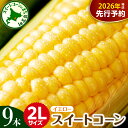 【ふるさと納税】【先行予約】 2026年産 とうもろこし 2L 9本 入り 【7月下旬~8月中旬にかけて順次発送】北海道産 スイートコーン キャンプ飯 BBQ アウトドア ソロキャン バーベキュー 焼肉 とうきび コーン 甘い 生 野菜 朝採り 産地直送 北海道 十勝 芽室町 めむろ
