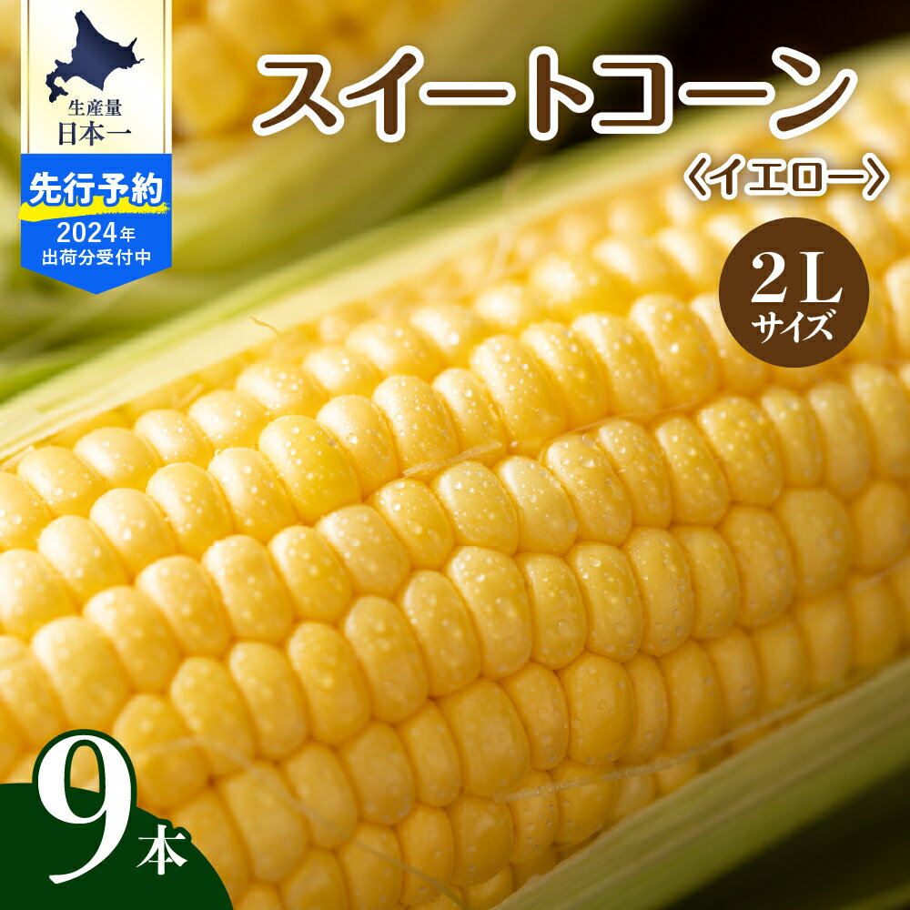 32位! 口コミ数「2件」評価「3」【2024年分先行予約】 北海道産 令和6年 とうもろこし スイートコーン イエロー種 2L サイズ 9本 人気 キャンプ飯 BBQ アウト･･･ 