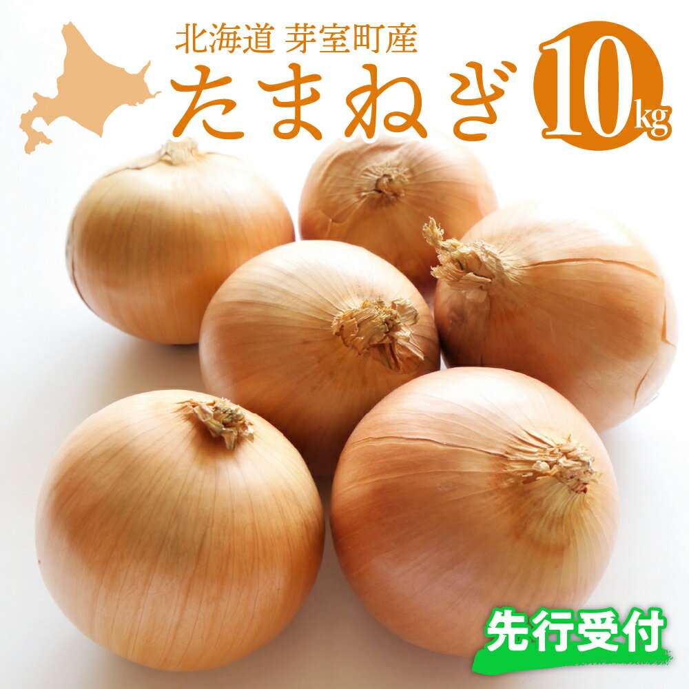 【ふるさと納税】【 先行予約 2024年出荷分】 北海道 十勝 芽室産 たまねぎ 10kg 1箱 玉ねぎ 玉葱 タマネギ オニオン 野菜 ベジタブル 産地直送 新鮮 送料無料 お取り寄せ 10キロ 大容量 北海道産 道産 国産 芽室 めむろ 芽室町