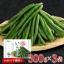 【ふるさと納税】十勝めむろ 冷凍野菜 いんげん 300g×3袋 新鮮 インゲン インゲンマメ 野菜 料理 調理 送料無料 北海道 十勝 芽室町