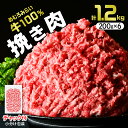 【ふるさと納税】挽き肉 みらい めむろ牛 200g × 6パック 計1.2kg 牛ひき肉 牛ミンチ ひき肉 挽肉 100% 小分け 便利 個包装 チャック付 赤身 氷室熟成 牛肉 国産牛 ホルスタイン 挽肉 ハンバーグ ミンチカツ コロッケ そぼろ 夕食 冷凍 国産 北海道産 十勝 芽室町