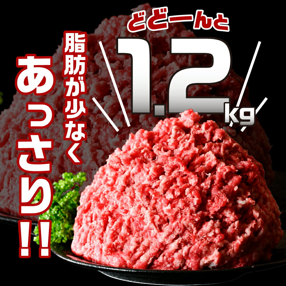 【ふるさと納税】挽き肉 みらい めむろ牛 200g × 6パック 計1.2kg 牛ひき肉 牛ミンチ ひき肉 挽肉 100% 小分け 便利 個包装 チャック付 赤身 氷室熟成 牛肉 国産牛 ホルスタイン 挽肉 ハンバーグ ミンチカツ コロッケ そぼろ 夕食 冷凍 国産 北海道産 十勝 芽室町