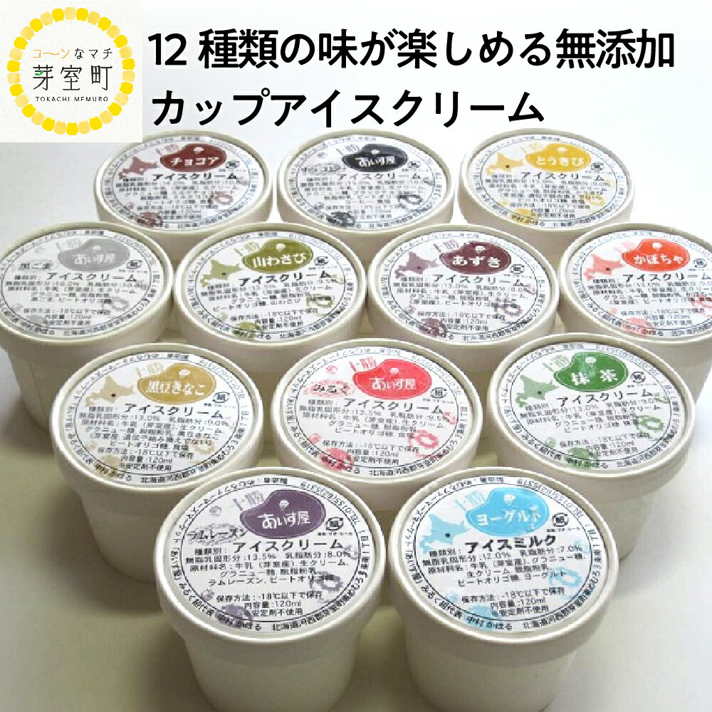 カップ アイスクリーム 95ml × 12 種 セット みるく 山わさび かぼちゃ とうもろこし 黒豆きなこ あずき 抹茶 黒ごま チョコア(チョコ ココア) チョコヒー(チョコ コーヒー)ラムレーズン ヨーグルト 牛乳 スイーツ 詰め合わせ 北海道 十勝 芽室町