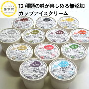 【ふるさと納税】カップアイスクリーム95ml×12種セット北海道十勝芽室町