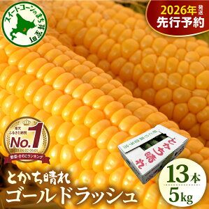 【ふるさと納税】【先行予約】 楽天 ランキング 連続 1位 獲得 2026年産 とうもろこし 北海道産 スイートコーン ゴールドラッシュ 13本 2L 5kg 【2026年7月下旬~8月10日頃配送】 甘い 人気 朝採り 産地直送 送料無料 期間限定 数量限定 北海道 十勝 芽室町 めむろ