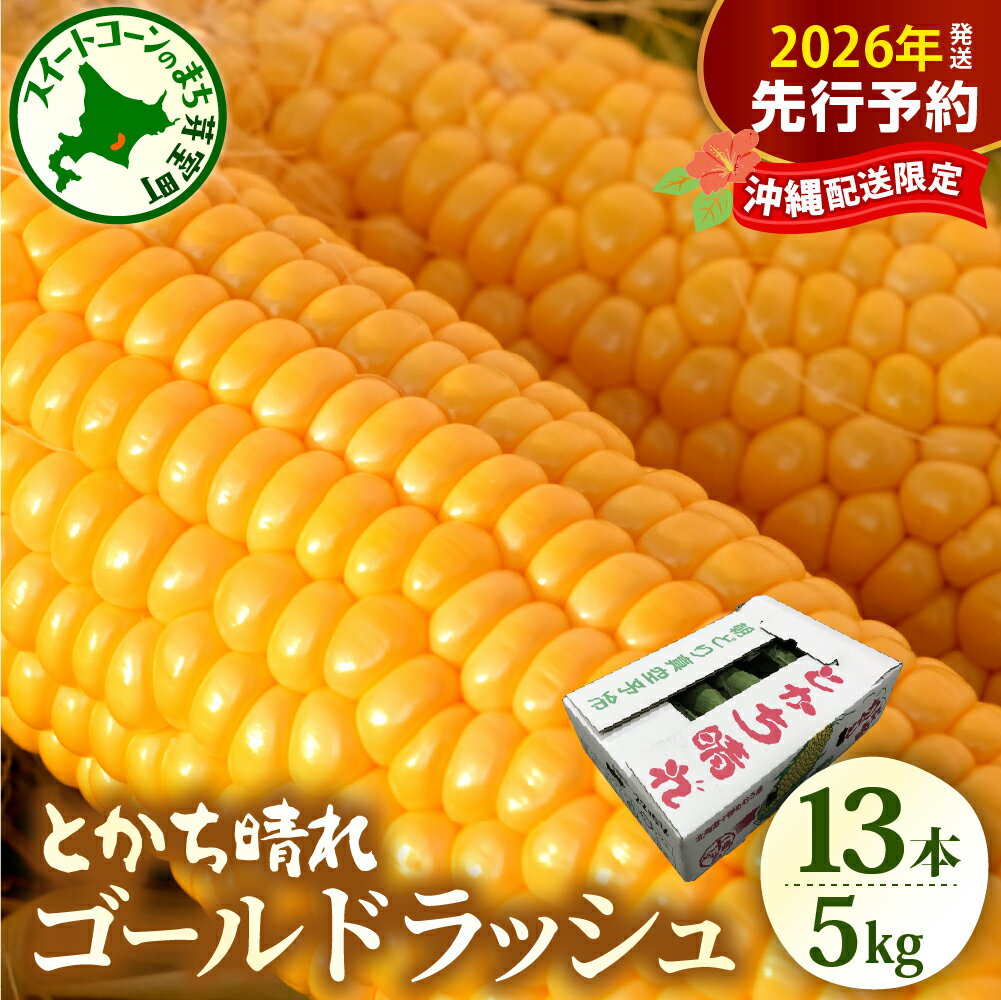 【ふるさと納税】【先行予約】 沖縄配送限定 2026年産 とうもろこし 北海道産 スイートコーン ゴールドラッシュ 13本 2L 5kg 【2026年7月下旬~8月10日頃配送】 / 甘い 人気 朝採り 産地直送 送料無料 期間限定 数量限定 北海道 十勝 芽室町 めむろ