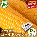 【ふるさと納税】【先行予約】 沖縄配送限定 2026年産 とうもろこし 北海道産 スイートコーン ゴールドラッシュ 13本 2L 5kg 【2026年7月下旬~8月10日頃配送】 甘い 人気 朝採り 産地直送 送料無料 期間限定 数量限定 北海道 十勝 芽室町 めむろ