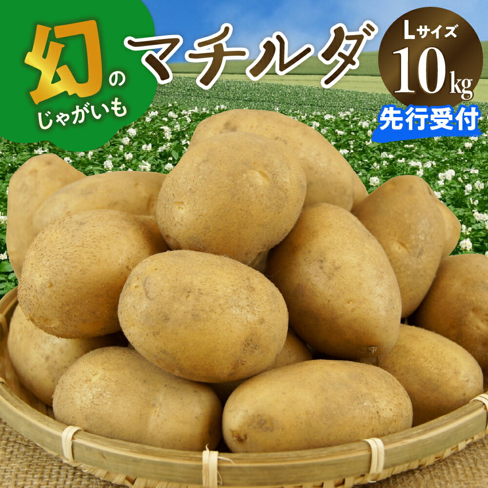 【ふるさと納税】【 先行受付 2025年4月出荷分 】 十勝めむろ産 マチルダ Lサイズ 10kg 北海道産 国産 冷蔵 じゃがいも ジャガイモ 芋 いも イモ ポテト 10キロ L 野菜 肉じゃが ポテトサラダ カレー BBQ お取り寄せ 北海道 芽室町