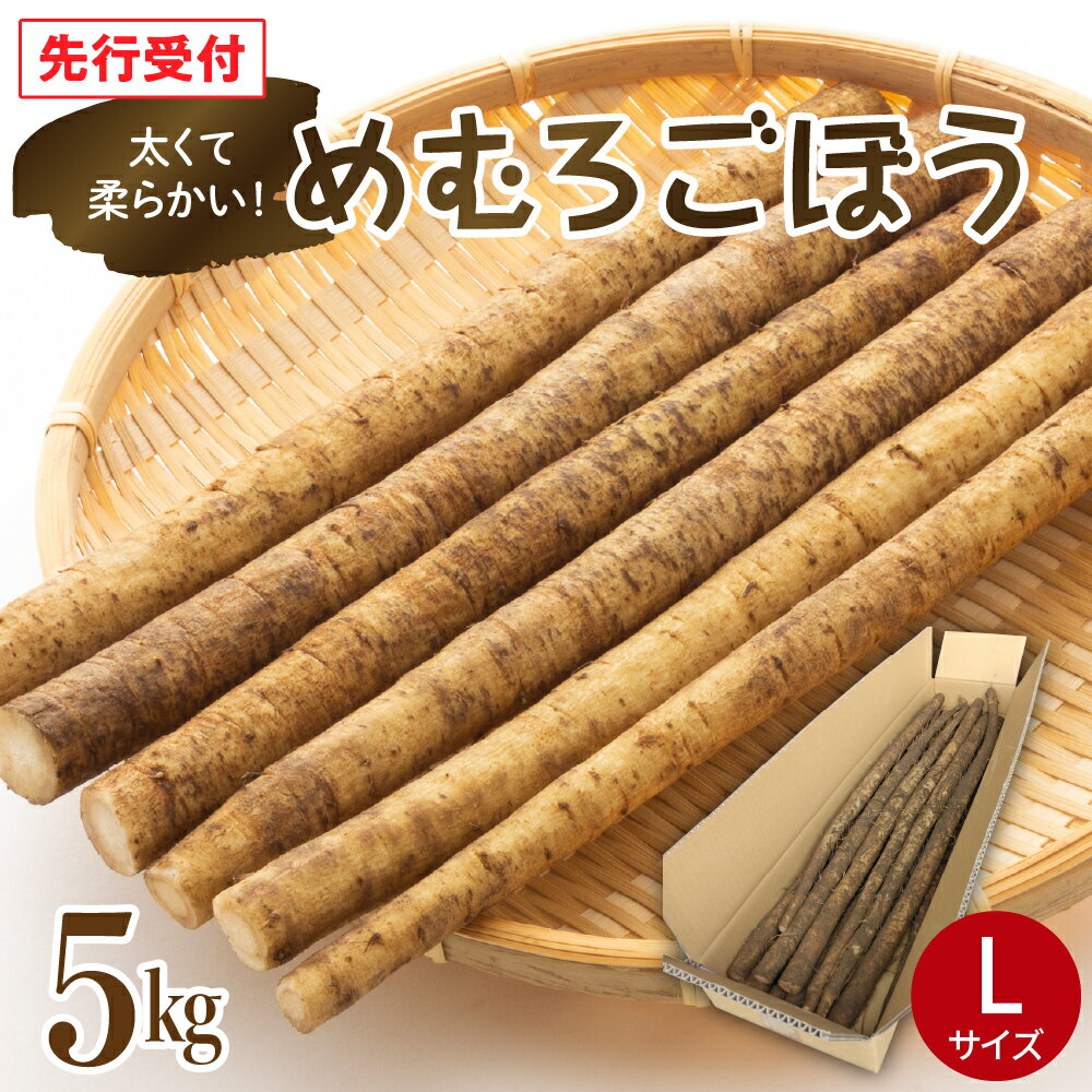 【先行受付】【10月中旬より発送】めむろごぼう Lサイズ 5kg 10～15本程度生ごぼう 牛蒡 ブランドごぼう 冷蔵便 国産 北海道 十勝 芽室町