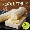 【ふるさと納税】北の山ワサビ（根茎）Mサイズ 1本入×5パック ホースラディッシュ 西洋わさび 山葵 薬味 真空パック 冷蔵便 国産 北海道 十勝 芽室町