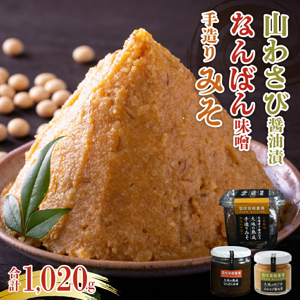 大地の熟成 手造り味噌 700g なんばん味噌 240g 山わさび 80g セット 十勝産大豆 調味料 わさび 味噌汁 ラーメン うどん パスタ 送料無料 北海道 十勝 芽室町