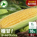 【ふるさと納税】【先行予約】 2026年産 極甘 とうもろこし ゴールドラッシュ 10本 ( 5kg )【7月下旬~8月下旬にかけて順次発送】 北海道産 期間限定 とうきび コーン フレッシュ 甘い 産地直送 特産 特産品 北海道産 道産 お取り寄せ 冷蔵 送料無料 国産 北海道 十勝 芽室町