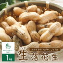 【ふるさと納税】【 先行予約 2024年出荷分】 生落花生 茹で用 郷の香 1kg ( 500g ×2袋 ) さとのか 大粒 落花生 らっかせい 生らっかせい 生 豆 ピーナッツ ナッツ おやつ おつまみ つまみ おかず 冷蔵 予約 先行受付 秋 旬 国産 北海道十勝芽室町