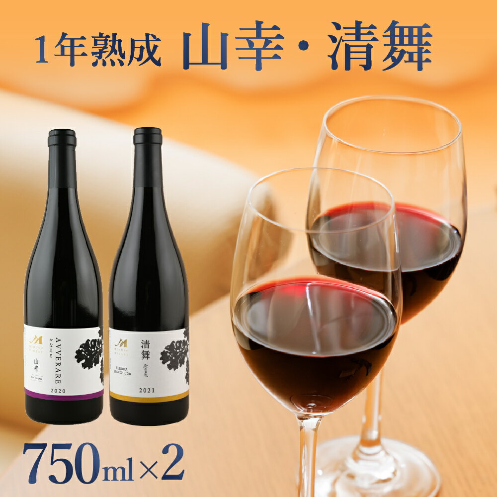 赤ワイン [1年熟成] 山幸 & 清舞 2本セット 750ml × 2本 (箱入) 北海道 十勝 芽室町