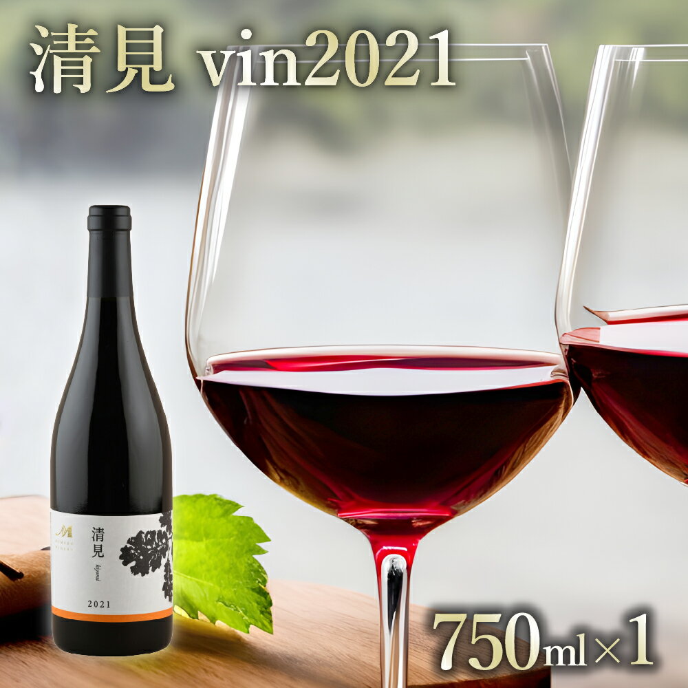 赤ワイン:清見 vin2021 750ml×1本(箱入) 北海道 十勝 芽室町